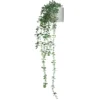 EUCALYPTUS CLIMB - Kunstpflanze Grün
