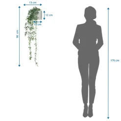 EUCALYPTUS CLIMB - Kunstpflanze Grün