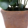 Eucalyptus - Kunstpflanze Grün