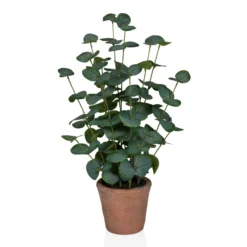 Eucalyptus - Kunstpflanze Grün