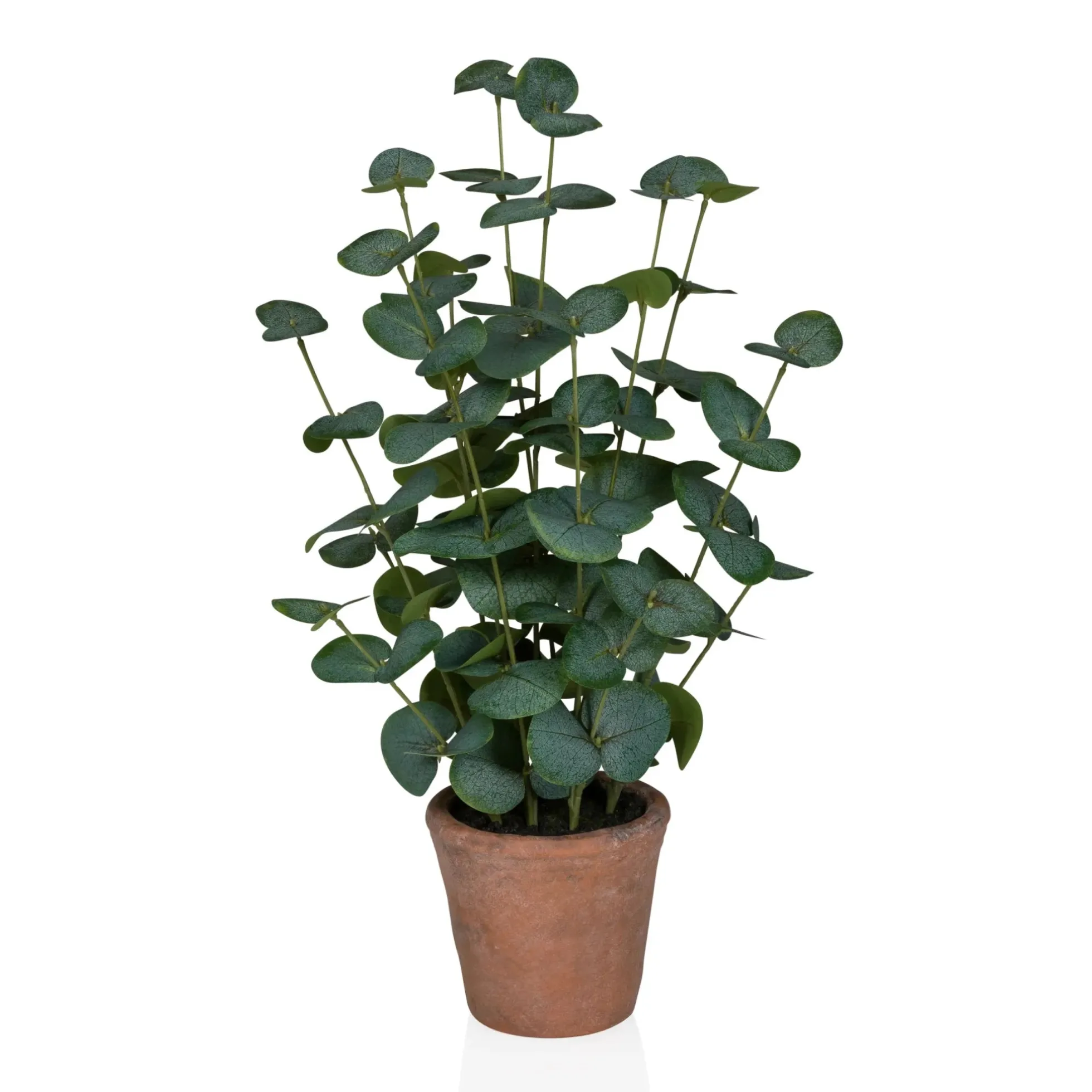 Eucalyptus - Kunstpflanze Grün