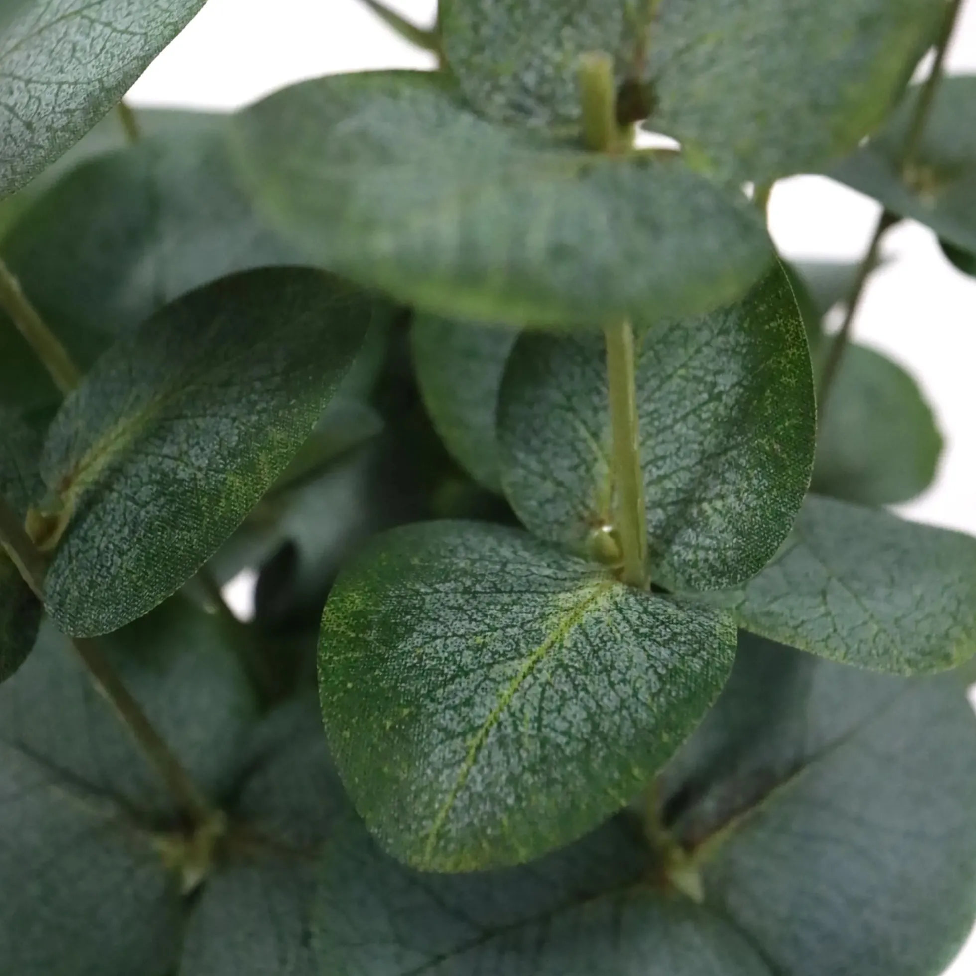 Eucalyptus - Kunstpflanze Grün