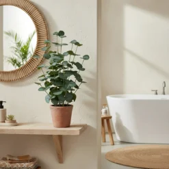 Eucalyptus - Kunstpflanze Grün