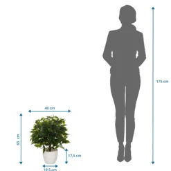 FICUS II - Kunstpflanze Grün
