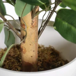 FICUS II - Kunstpflanze Grün