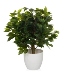 FICUS II - Kunstpflanze Grün