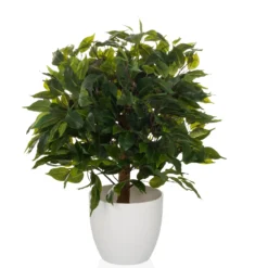 FICUS II - Kunstpflanze Grün