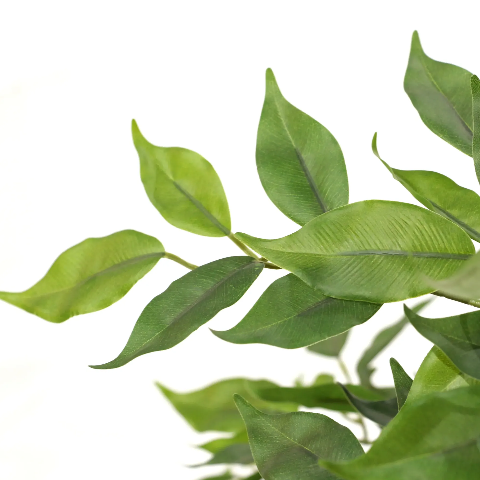 FICUS I - Kunstpflanze Grün