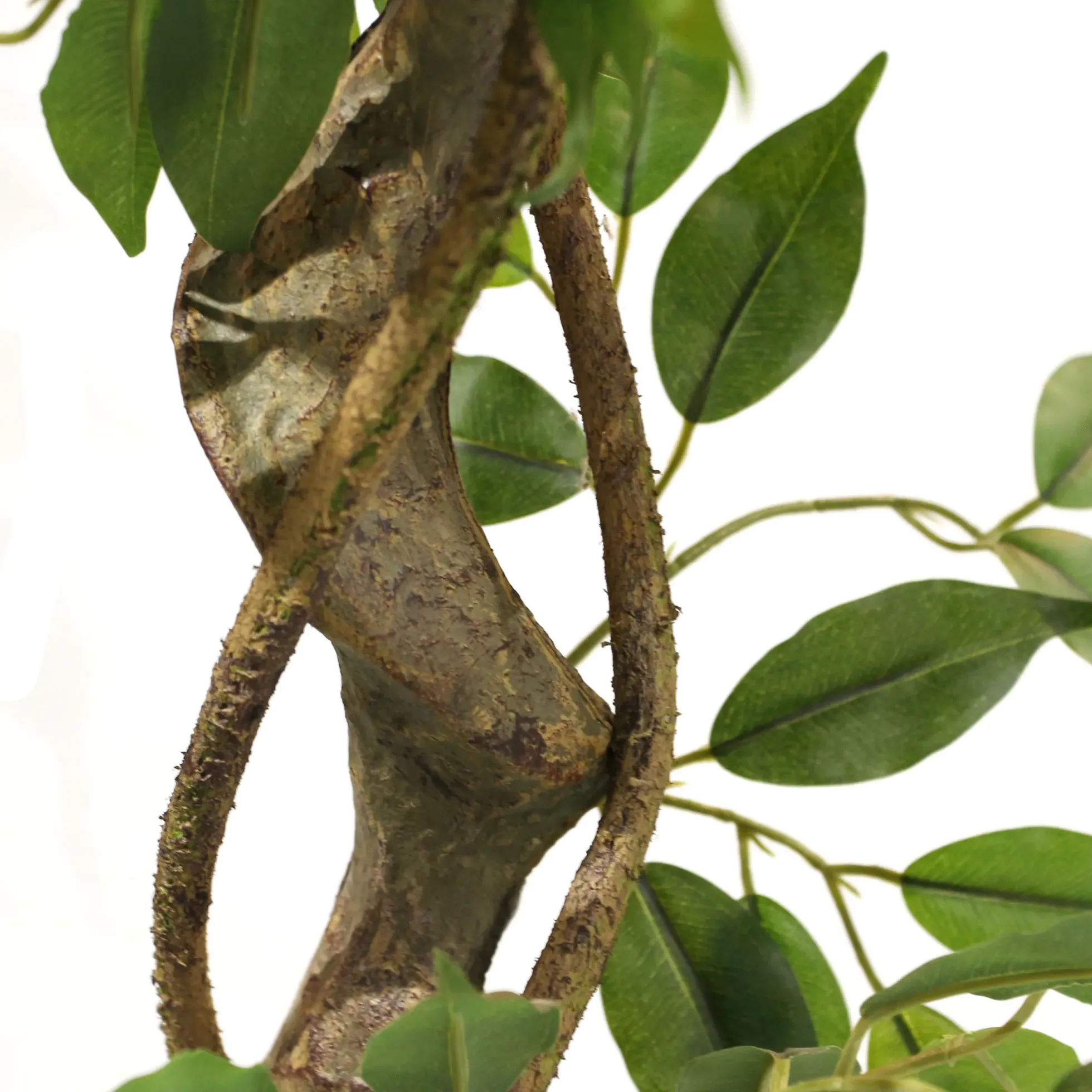 FICUS I - Kunstpflanze Grün