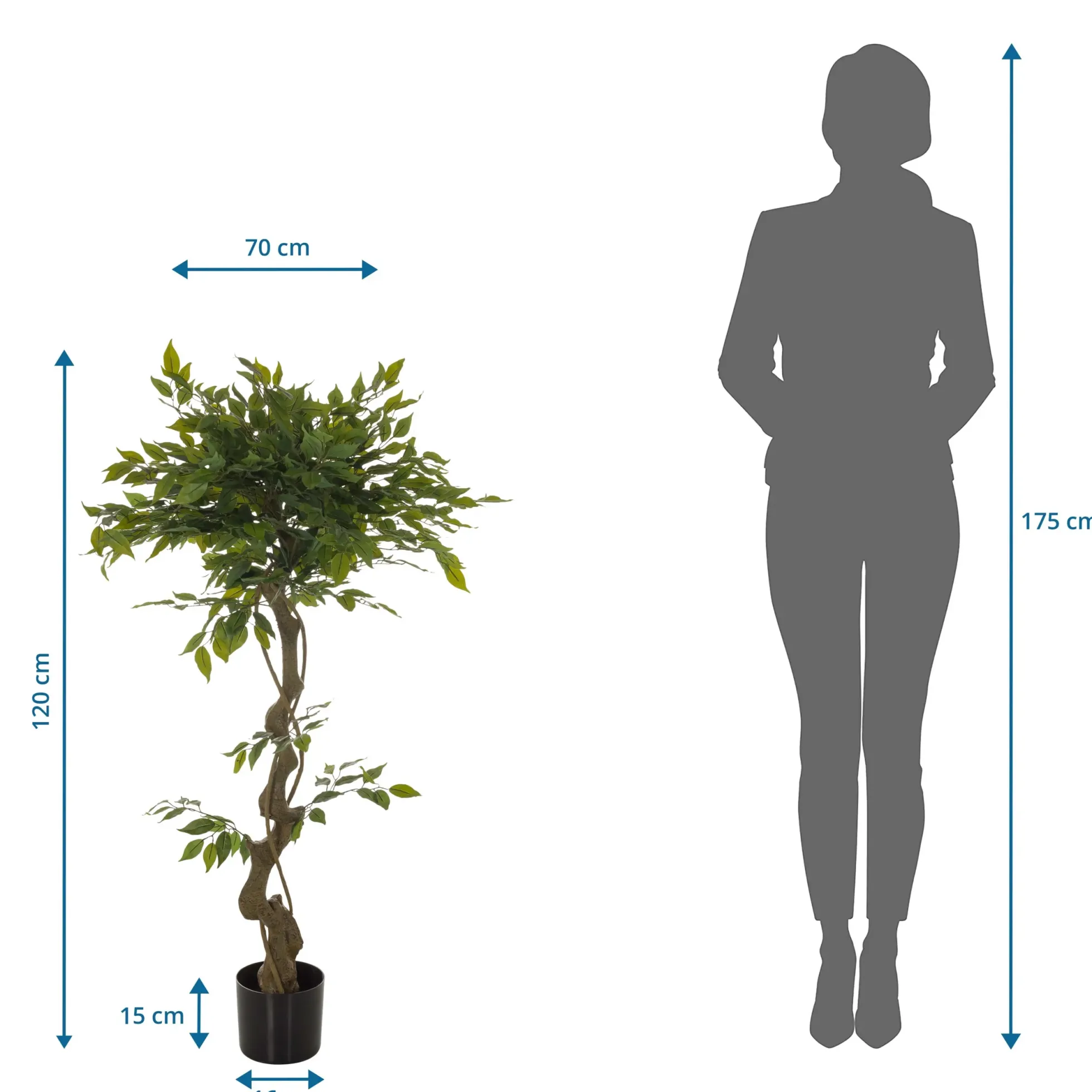 FICUS I - Kunstpflanze Grün