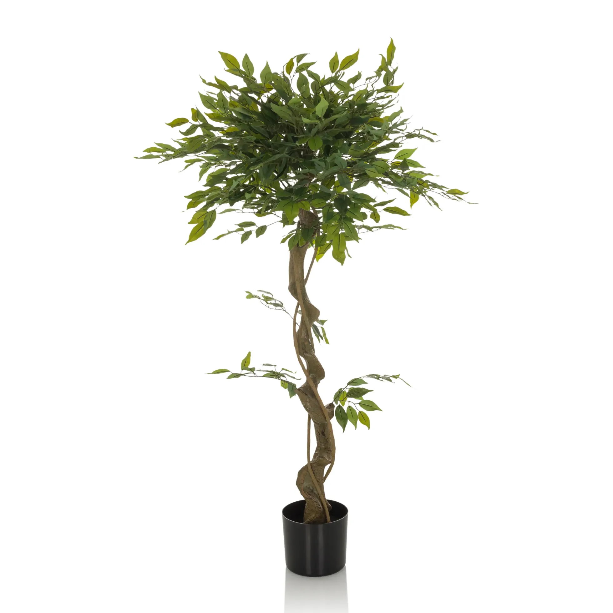 FICUS I - Kunstpflanze Grün