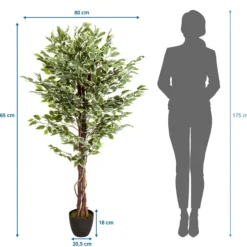 FICUS - Kunstpflanze Grün