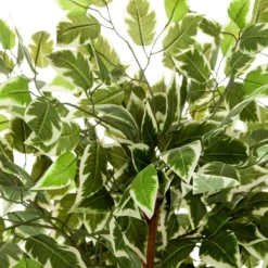 FICUS - Kunstpflanze Grün
