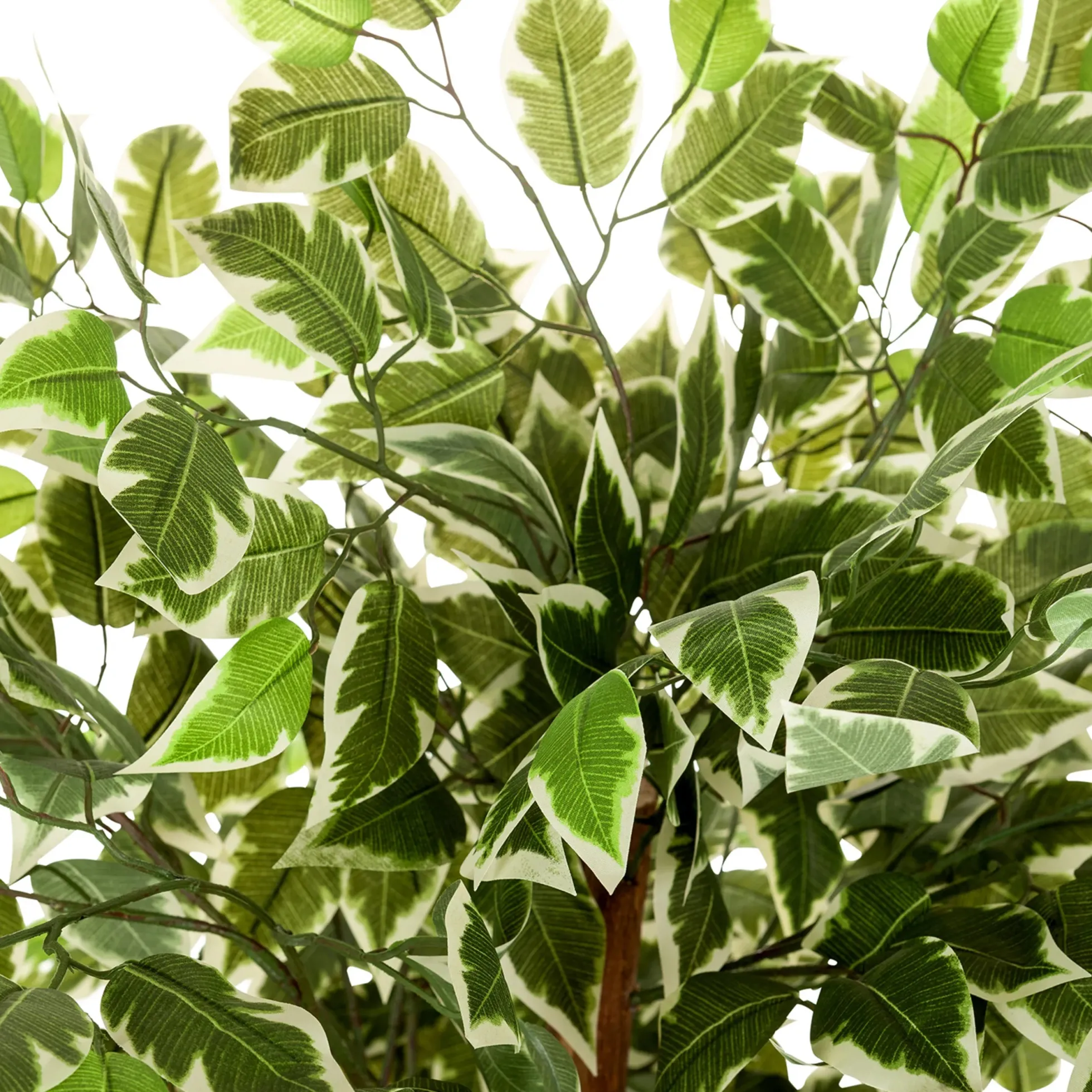 FICUS - Kunstpflanze Grün