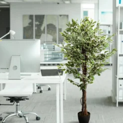 FICUS - Kunstpflanze Grün