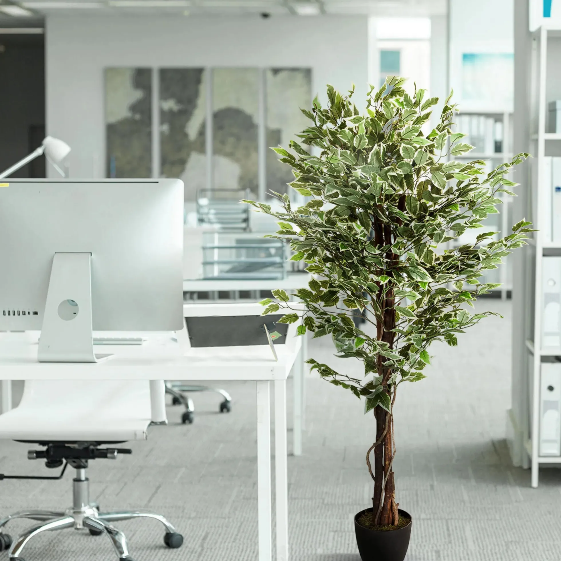 FICUS - Kunstpflanze Grün