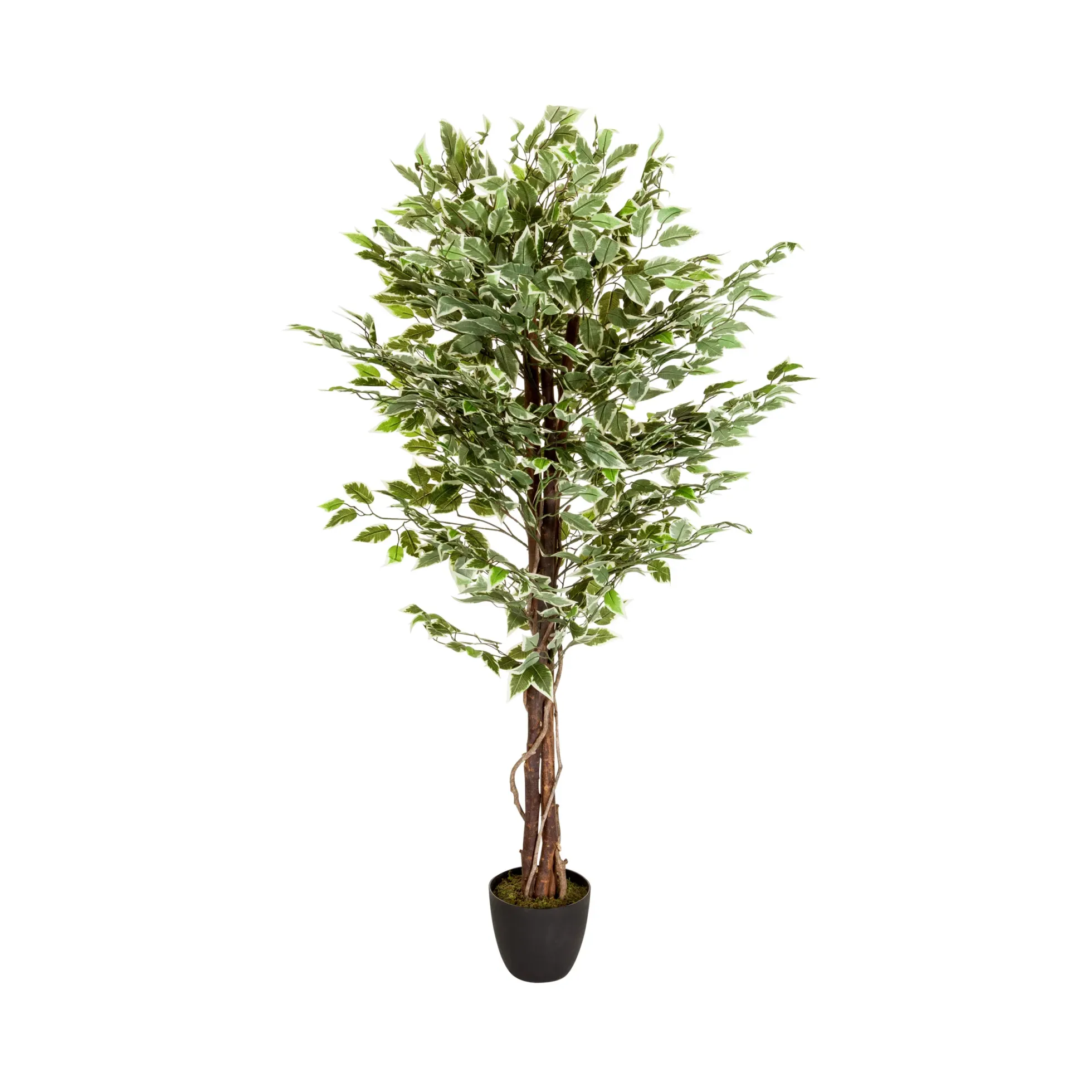 FICUS - Kunstpflanze Grün