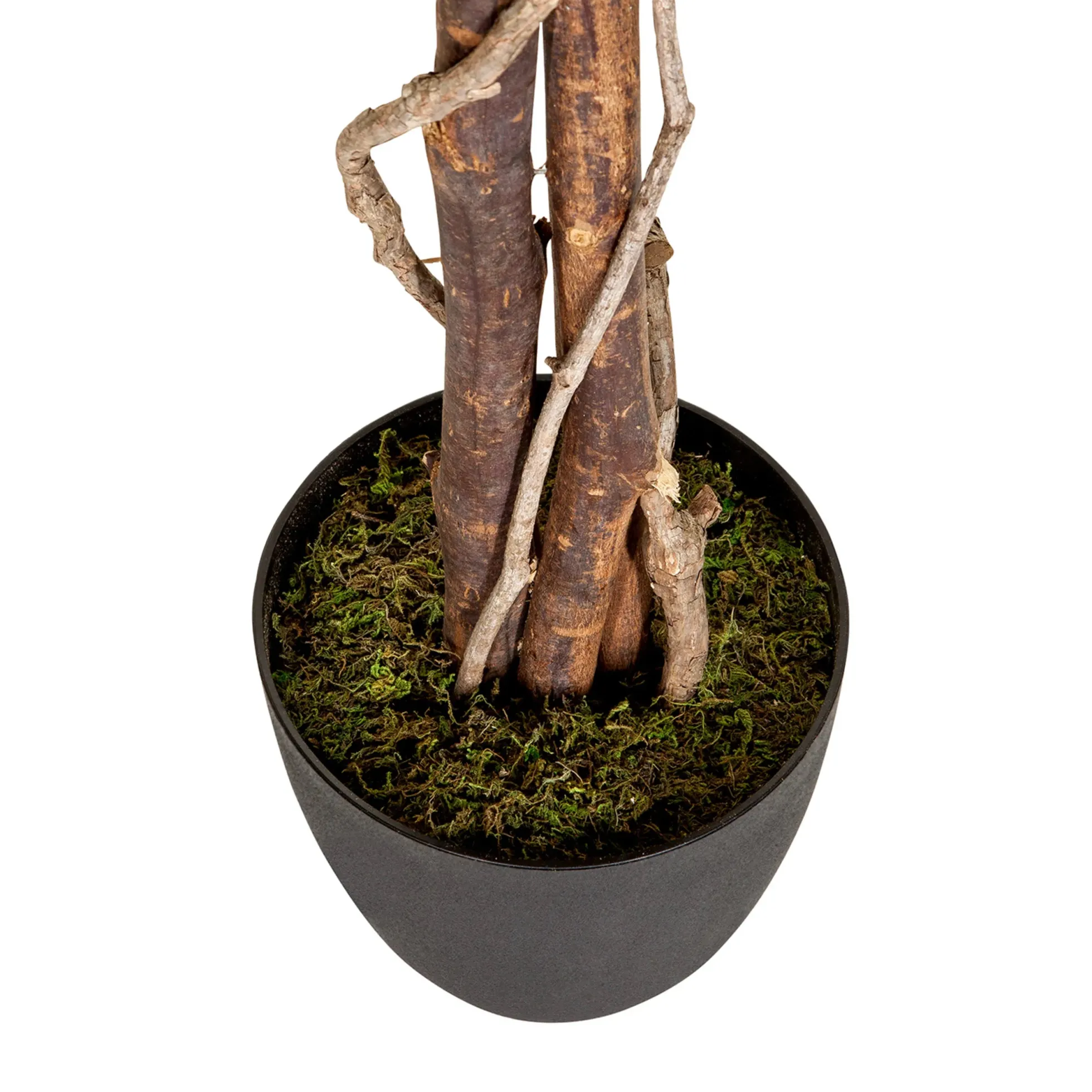 FICUS - Kunstpflanze Grün