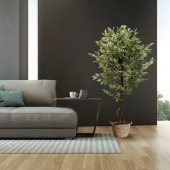FICUS - Kunstpflanze Grün