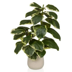 Ficus 3 - Kunstpflanze Grün/Weiß