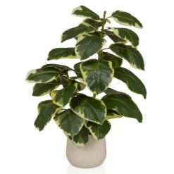 Ficus 3 - Kunstpflanze Grün/Weiß