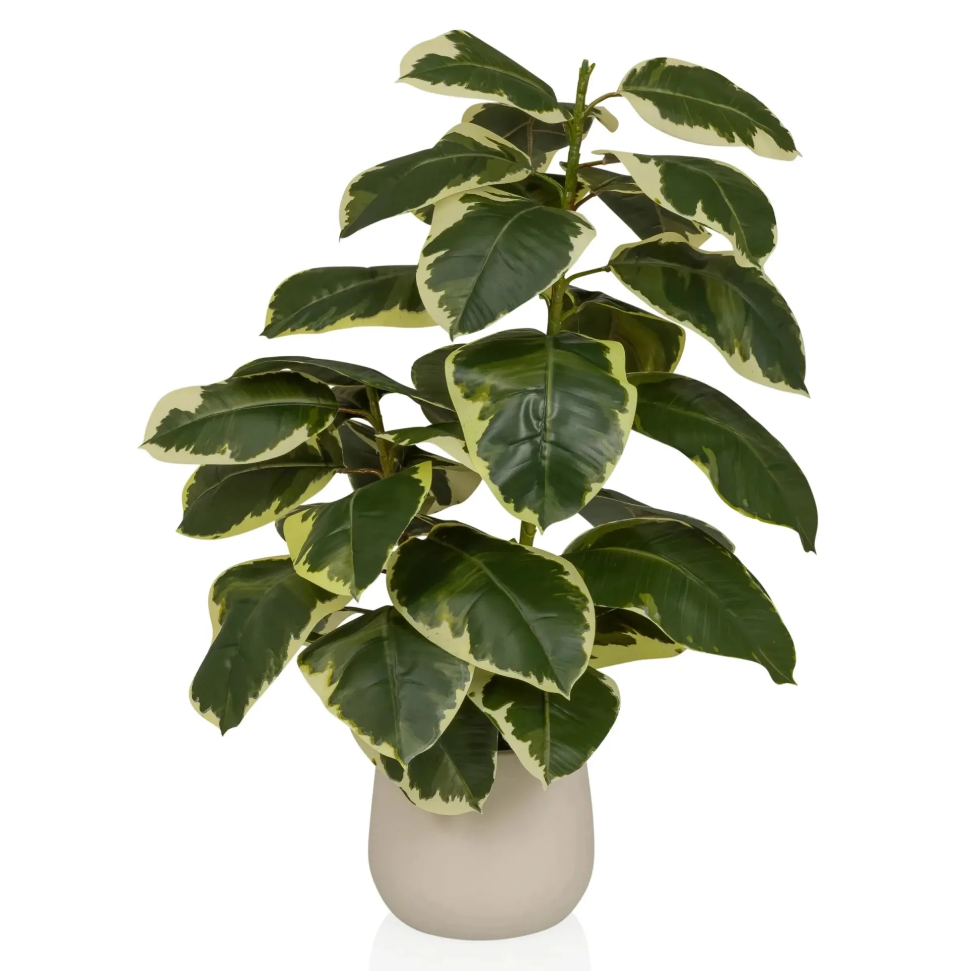 Ficus 3 - Kunstpflanze Grün/Weiß