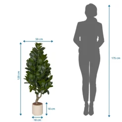 Garcinia - Kunstpflanze Grün