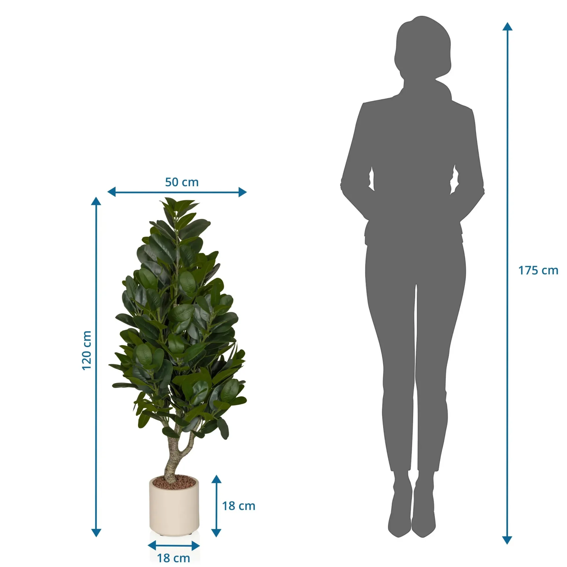 Garcinia - Kunstpflanze Grün