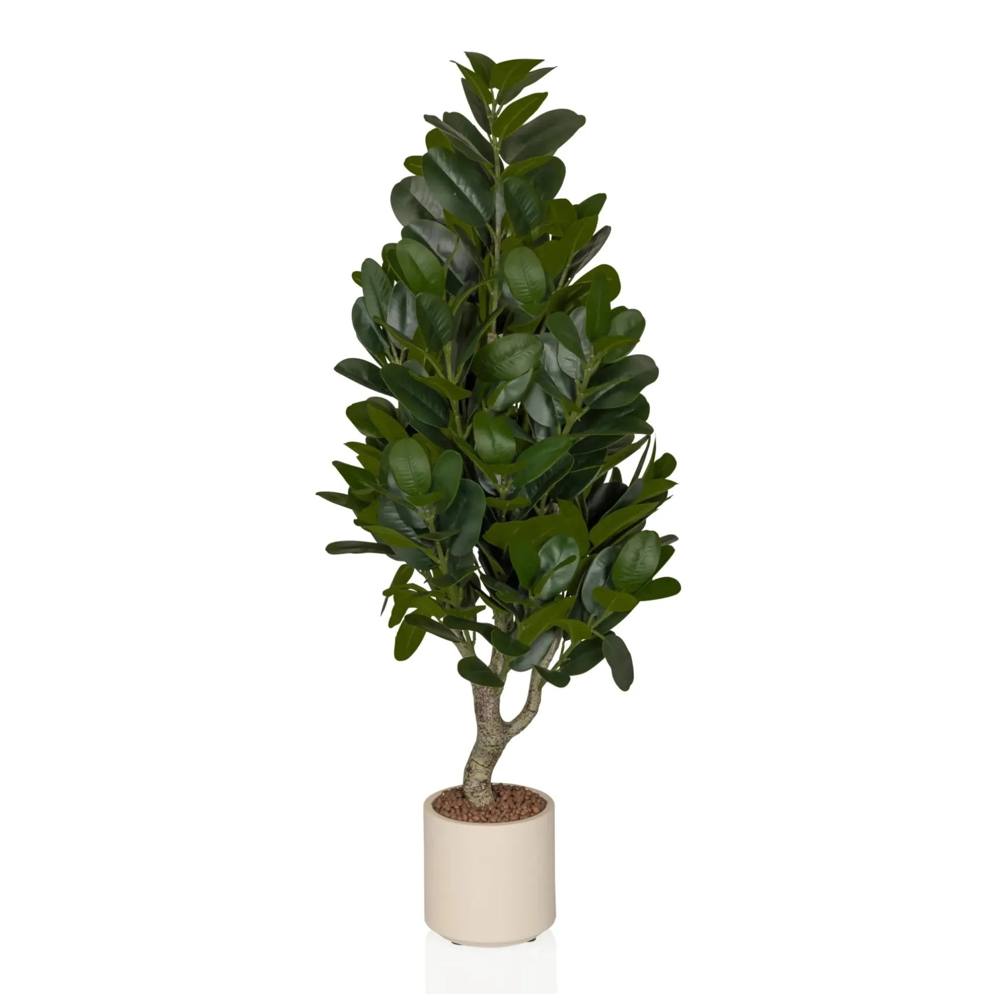 Garcinia - Kunstpflanze Grün