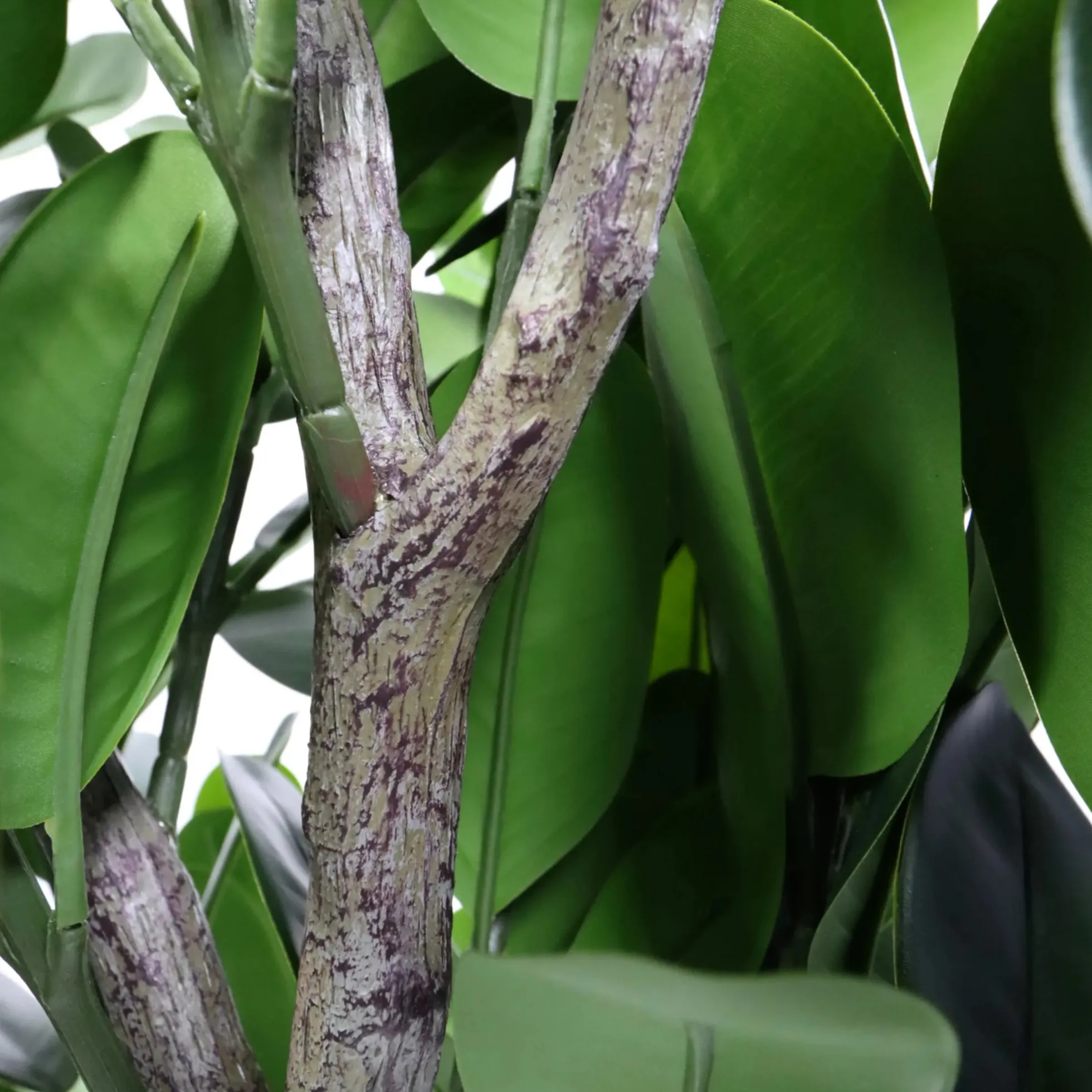 Garcinia - Kunstpflanze Grün