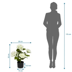 HYDRANGEA - Kunstpflanze Grün/Weiß