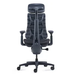 LiberNovo Omni - High End Bürostuhl Schwarz