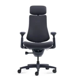 LiberNovo Omni - High End Bürostuhl Schwarz