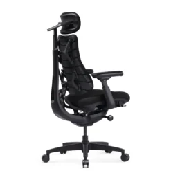 LiberNovo Omni SE - High End Bürostuhl Schwarz