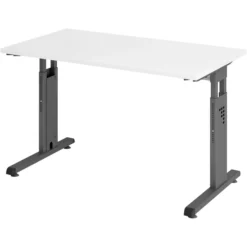 MEGA 612 G | Schreibtisch 120 x 67 höhenverstellbar Weiß/Graphit