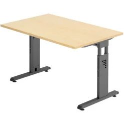 MEGA 12 G | Schreibtisch 120 x 80 höhenverstellbar Ahorn/Graphit