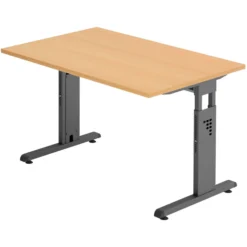 MEGA 12 G | Schreibtisch 120 x 80 höhenverstellbar Buche/Graphit