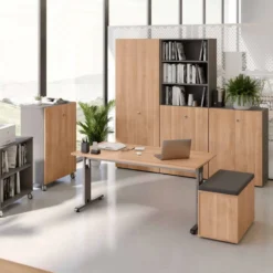 MEGA 12 G | Schreibtisch 120 x 80 höhenverstellbar Asteiche/Graphit