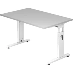 MEGA 12 W | Schreibtisch 120 x 80 höhenverstellbar Grau/Weiß