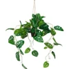 MONSTERA CLIMB - Kunstpflanze Grün