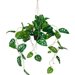 MONSTERA CLIMB - Kunstpflanze Grün