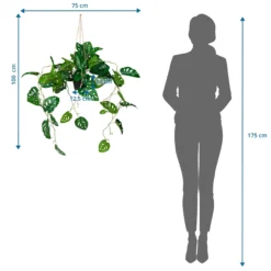 MONSTERA CLIMB - Kunstpflanze Grün