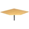 RT12 G Trapezplatte 120x120 Buche