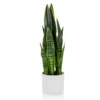 SANSEVIERIA - Kunstpflanze Grün