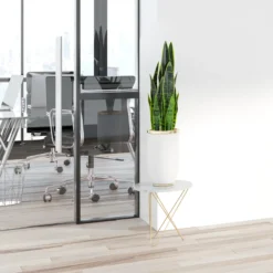 SANSEVIERIA - Kunstpflanze Grün