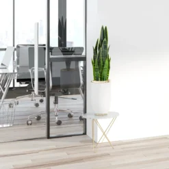 SANSEVIERIA - Kunstpflanze Grün