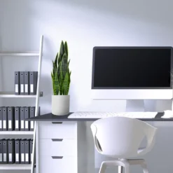SANSEVIERIA - Kunstpflanze Grün
