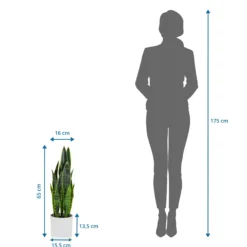 SANSEVIERIA - Kunstpflanze Grün