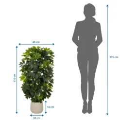 Schefflera 2 - Kunstpflanze Grün