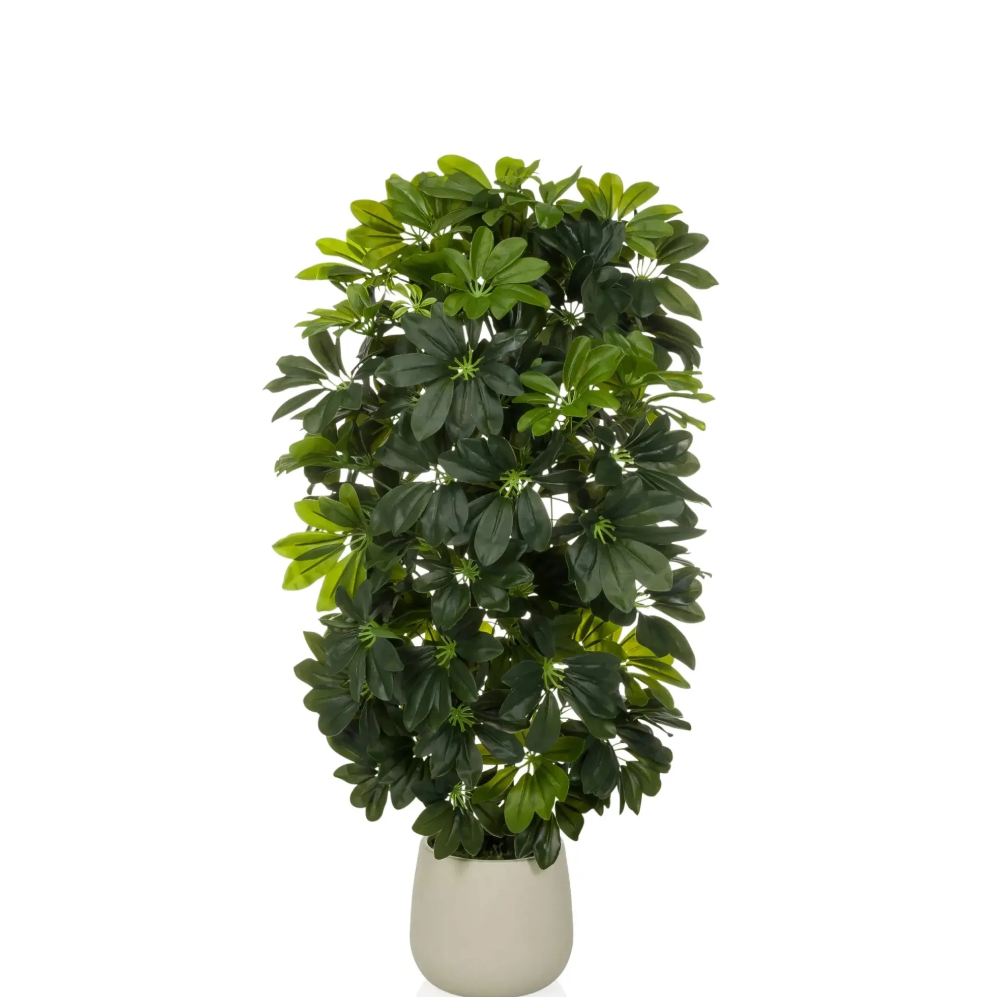 Schefflera 2 - Kunstpflanze Grün
